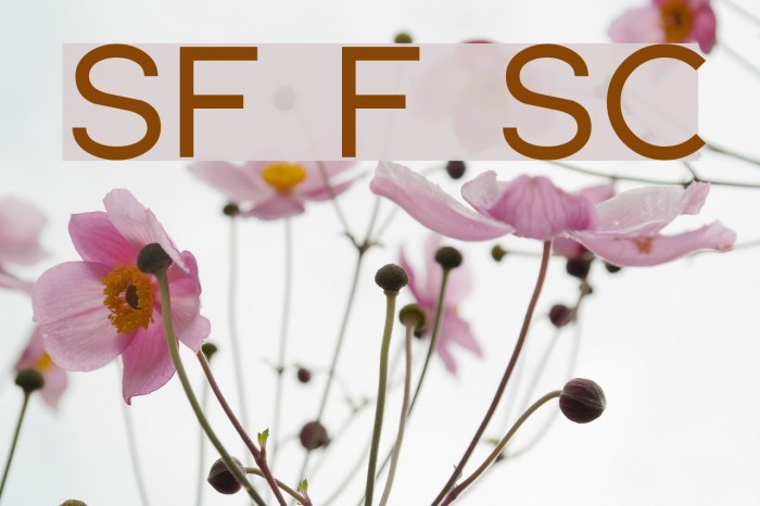 SF Florencesans SC Font examples