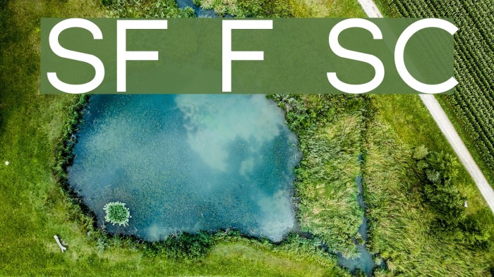 SF Florencesans SC Font examples