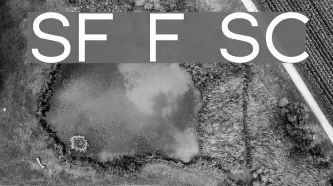 SF Florencesans SC Font examples