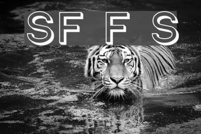 SF Florencesans Shaded Font examples