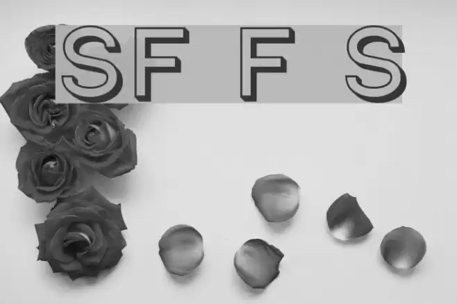 SF Florencesans Shaded Font examples