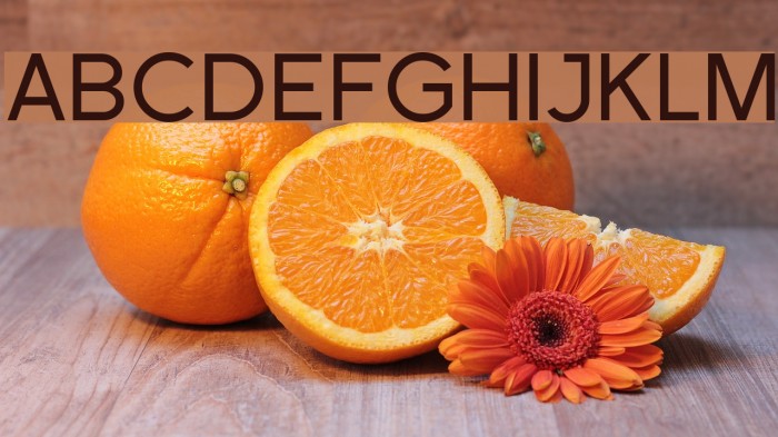 SF Florencesans Font examples