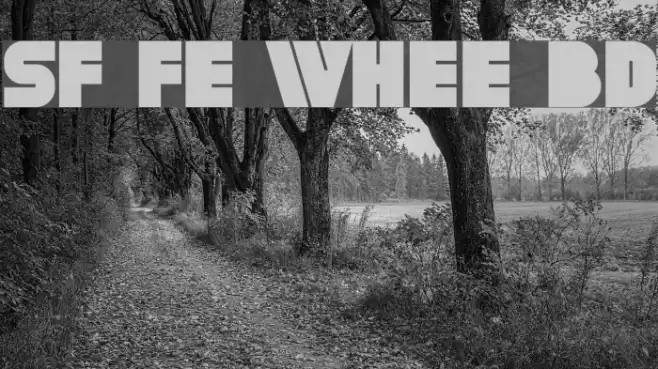 SF Fortune Wheel Bold Schriftart examples