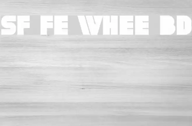 SF Fortune Wheel Bold Schriftart examples