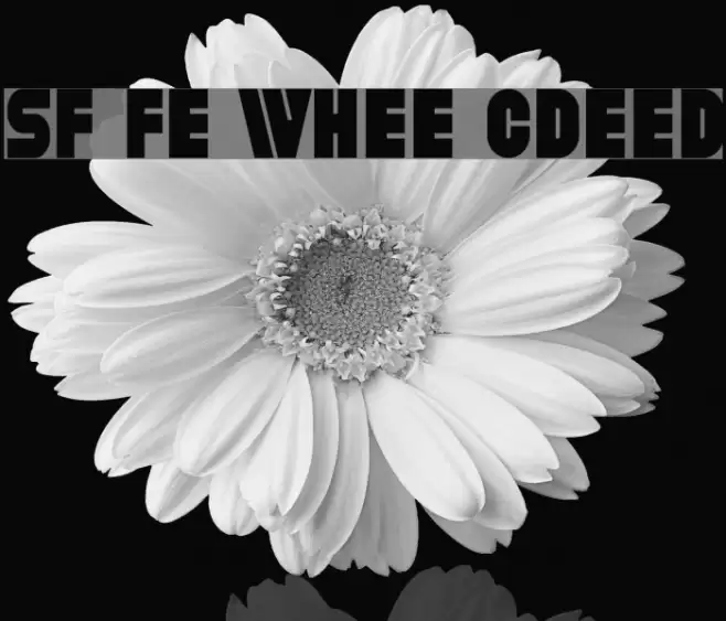 SF Fortune Wheel Condensed Schriftart examples