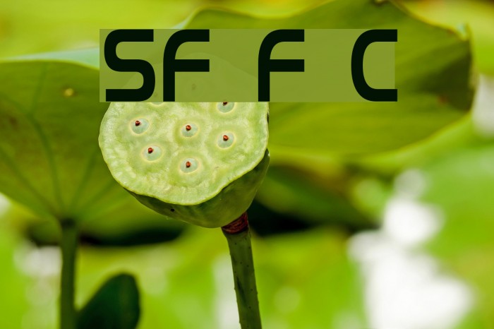 SF Fourche Condensed Font examples