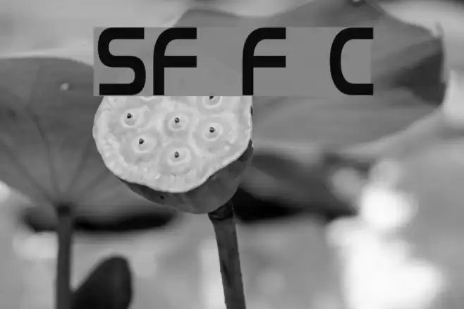 SF Fourche Condensed Font examples