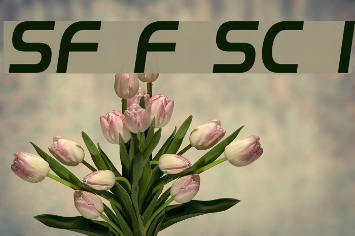 SF Fourche SC Italic Font examples