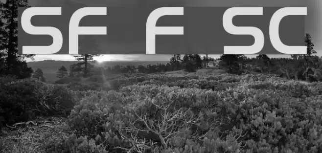 SF Fourche SC Font examples