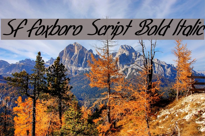 SF Foxboro Script Bold Italic Schriftart examples