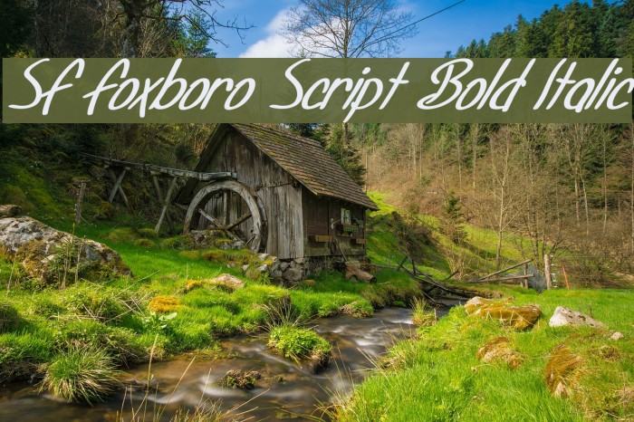 SF Foxboro Script Bold Italic Schriftart examples
