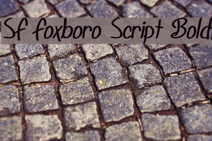 SF Foxboro Script Bold Font examples