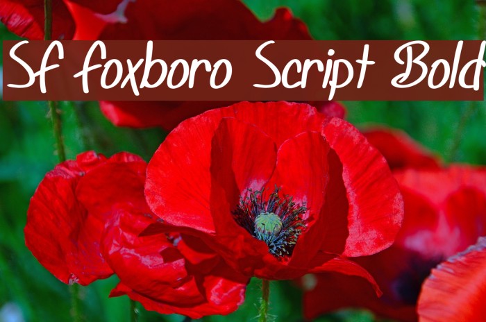 SF Foxboro Script Bold Font examples