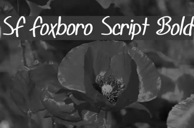 SF Foxboro Script Bold Fuentes examples