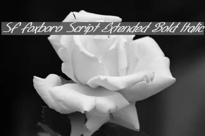 SF Foxboro Script Extended Bold Italic Fuentes examples