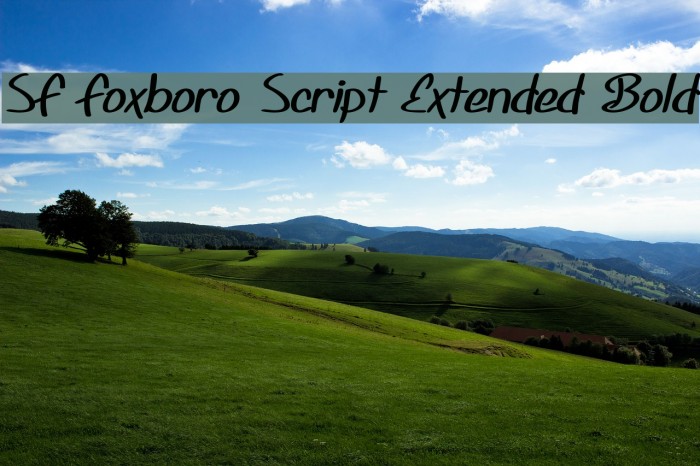 SF Foxboro Script Extended Bold Schriftart examples