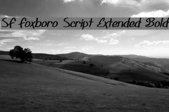 SF Foxboro Script Extended Bold Schriftart examples