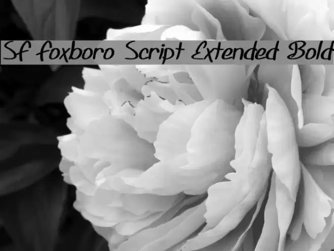 SF Foxboro Script Extended Bold Schriftart examples