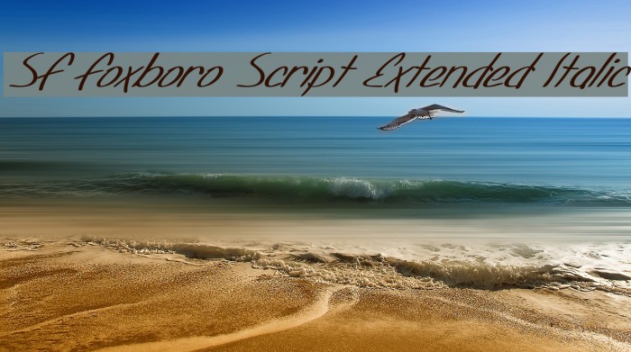 SF Foxboro Script Extended Italic Font examples