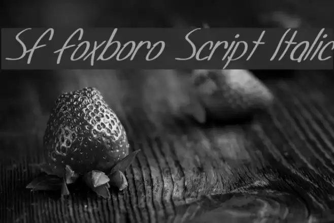 SF Foxboro Script Italic Font examples