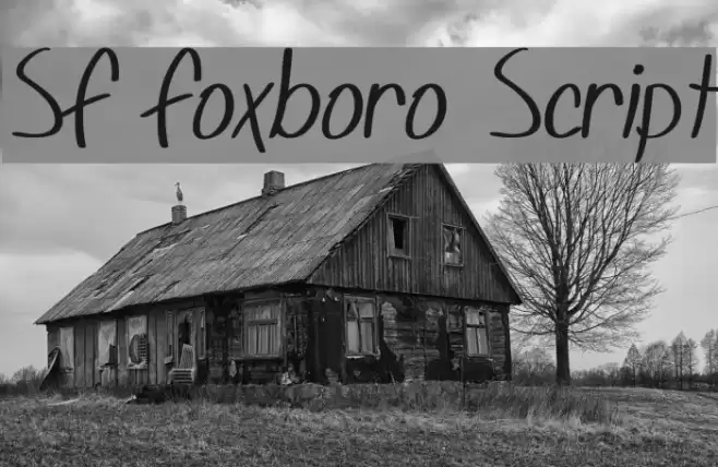 SF Foxboro Script Font examples
