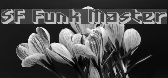 SF Funk Master Font examples