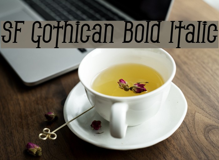 SF Gothican Bold Italic Font examples