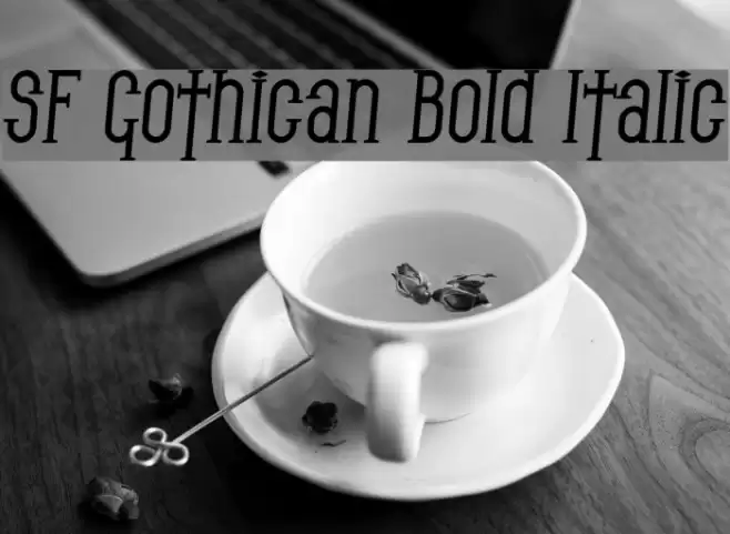 SF Gothican Bold Italic Polices examples