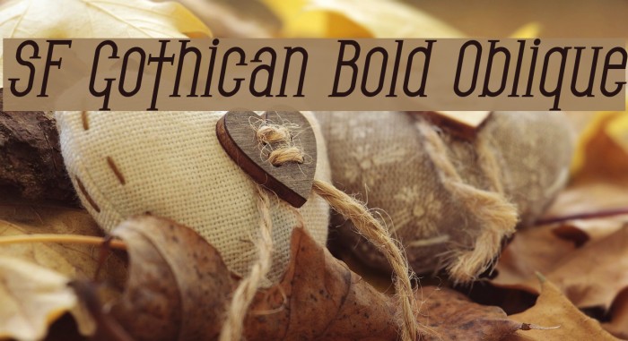 SF Gothican Bold Oblique Font examples