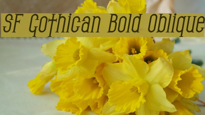 SF Gothican Bold Oblique Font examples