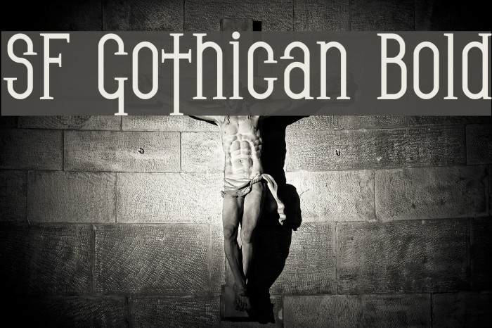 SF Gothican Bold フォント examples