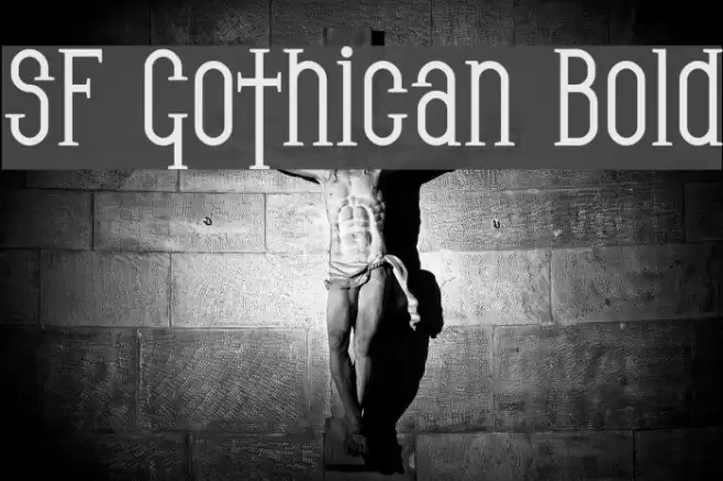 SF Gothican Bold フォント examples