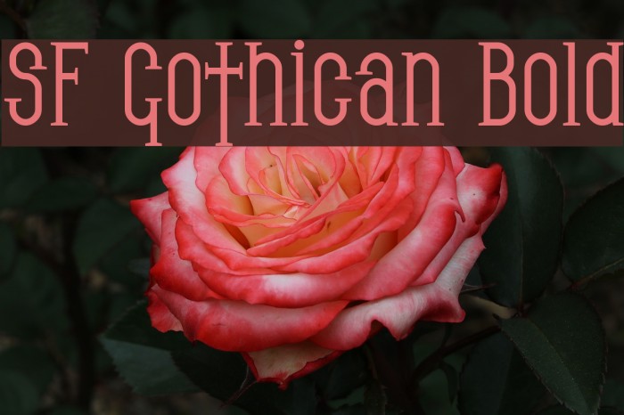 SF Gothican Bold フォント examples