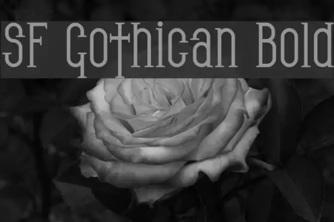 SF Gothican Bold フォント examples