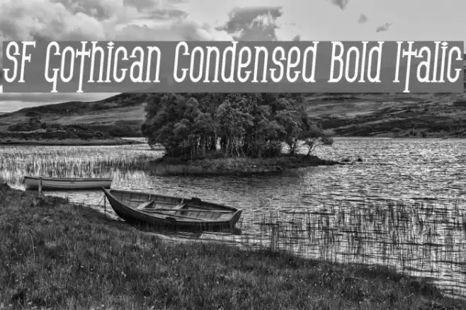 SF Gothican Condensed Bold Italic フォント examples