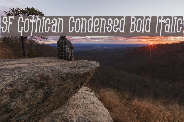 SF Gothican Condensed Bold Italic フォント examples