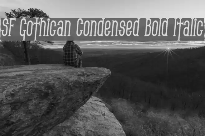 SF Gothican Condensed Bold Italic フォント examples