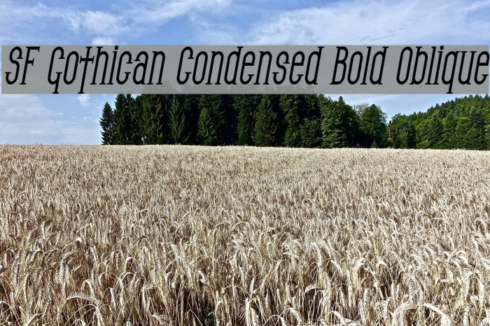 SF Gothican Condensed Bold Oblique Font examples