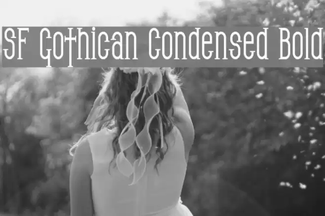 SF Gothican Condensed Bold Font examples