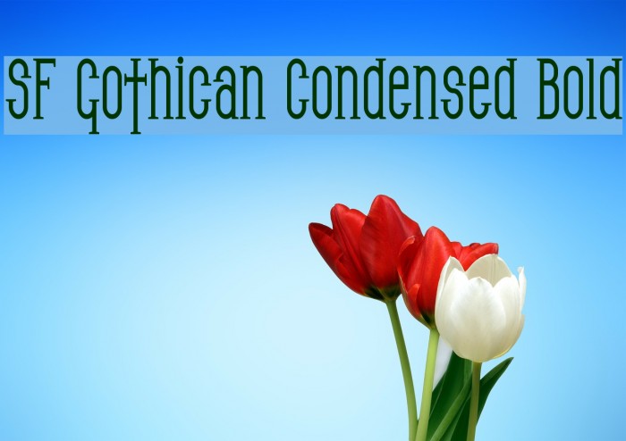 SF Gothican Condensed Bold Font examples