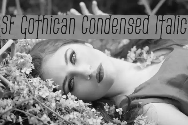 SF Gothican Condensed Italic フォント examples