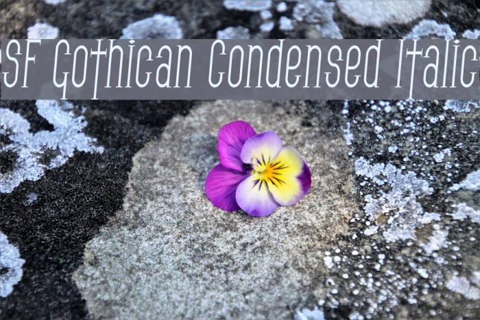 SF Gothican Condensed Italic Font examples