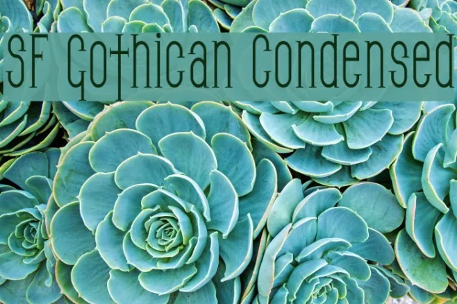 SF Gothican Condensed Example 1