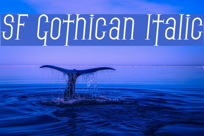 SF Gothican Italic Font examples