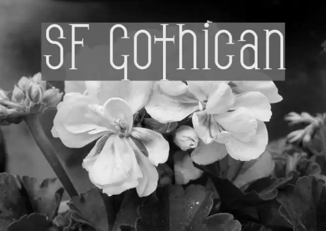 SF Gothican Font examples