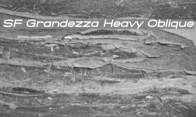 SF Grandezza Heavy Oblique Font examples