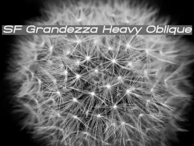 SF Grandezza Heavy Oblique Font examples