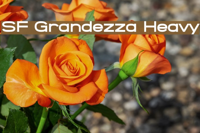 SF Grandezza Heavy Font examples