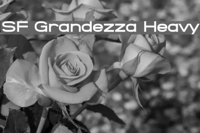 SF Grandezza Heavy फ़ॉन्ट examples