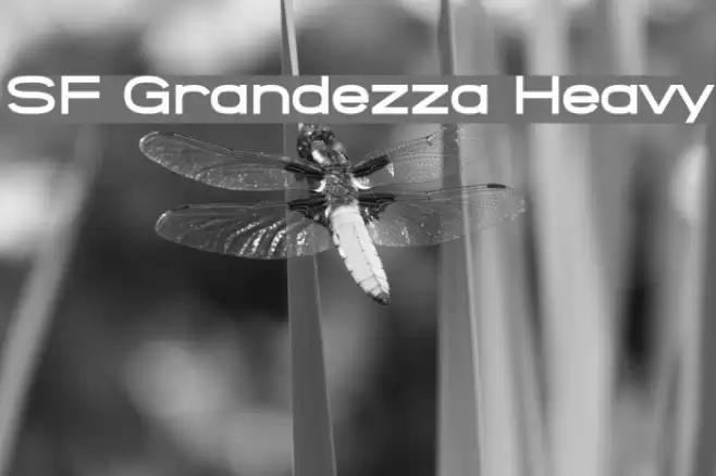 SF Grandezza Heavy फ़ॉन्ट examples